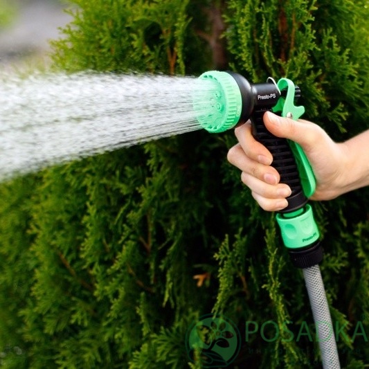 картинка Пистолет для полива пластиковый Presto-PS насадка на шланг (2109) 