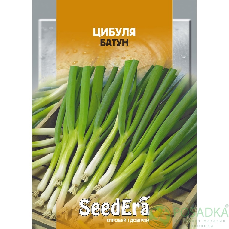картинка Семена Лук Батун, 10 г, SeedEra 