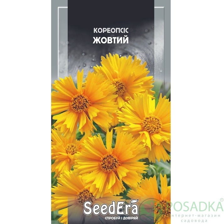 картинка Семена Кореопсис желтый многолетний 0,3 г, Seedera 