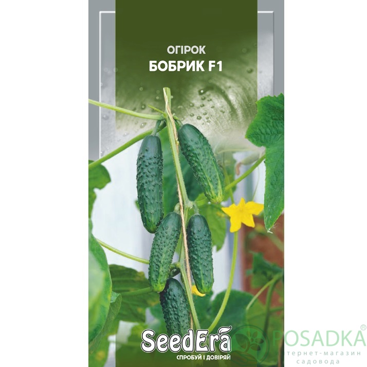 картинка Семена Огурец Бобрик F1, 10шт, Seedera 