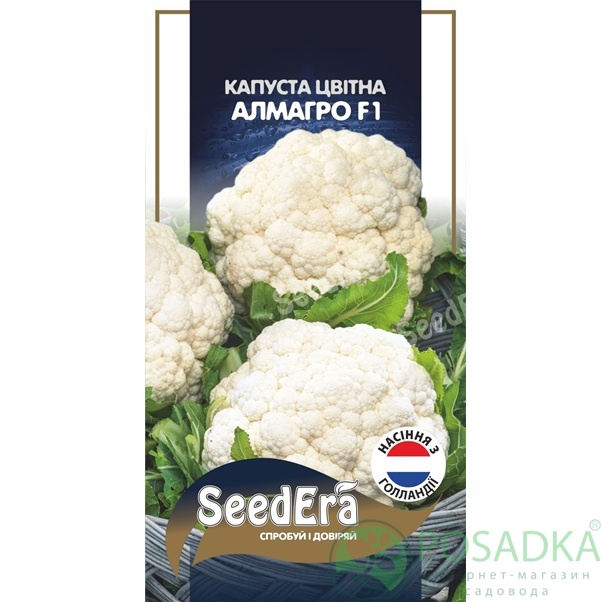 картинка Семена Капуста цветная Алмагро F1, 10 шт, Seedera Profi 