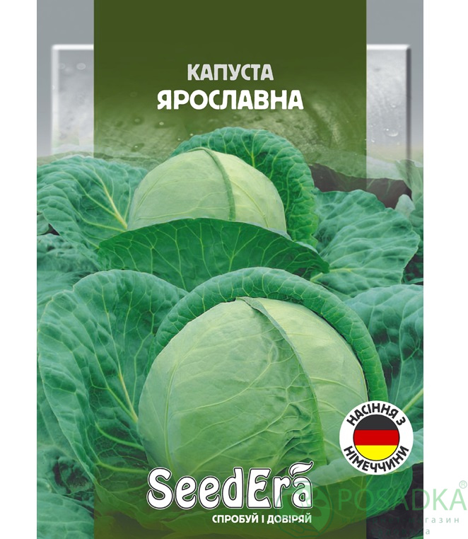 картинка Семена Капуста Белоголовая Ярославна, 10 г, SeedEra 