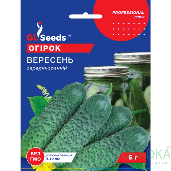 картинка Семена Огурец Сентябрь 5г, Professional, TM GL Seeds 