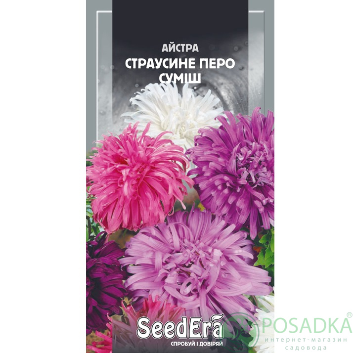 картинка Семена Астра Страусиное Перо Смесь 0.25 гр, SeedEra 