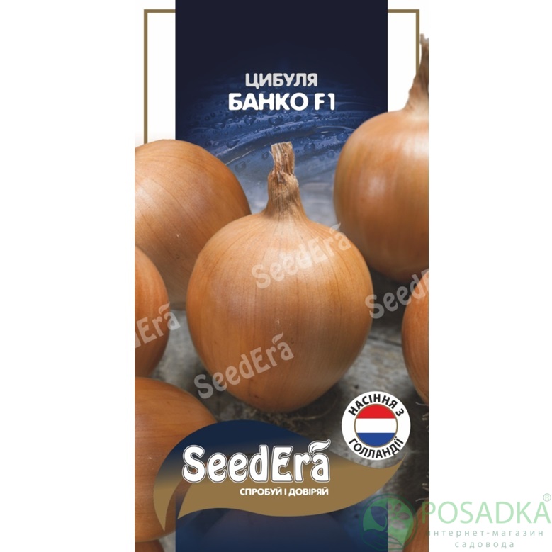 картинка Семена Лук Банко F1, 100шт, Seedera 