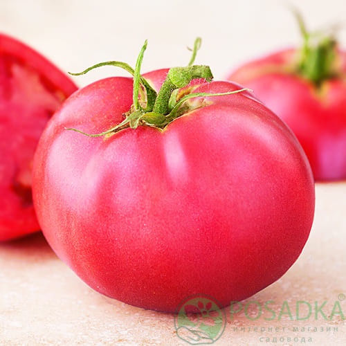 картинка Семена томат Микадо розовый 0,1 г, Seedera 