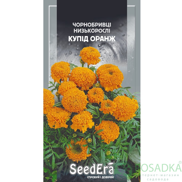 картинка Семена Бархатцы низкорослые Купид Оранж 0,5г, Seedera 