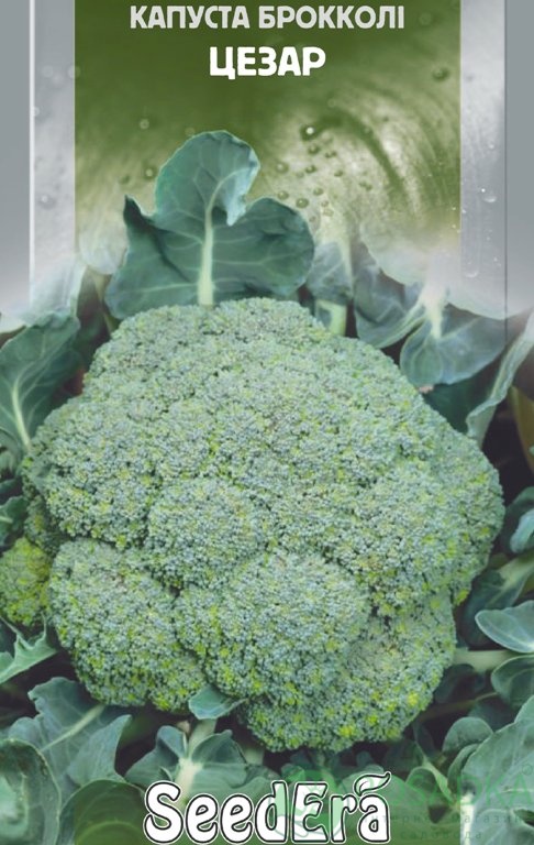 картинка Семена Капуста брокколи Цезарь 0.3 г, Seedera 