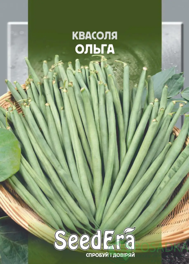 картинка Семена фасоль Спаржева кустовая Ольга 20 г, Seedera 