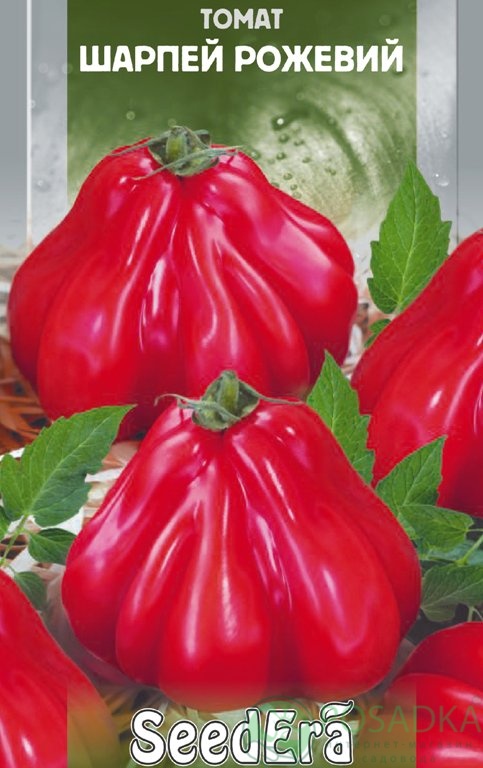 картинка Семена Томат Шарпей розовый 0.1гр, SeedEra 