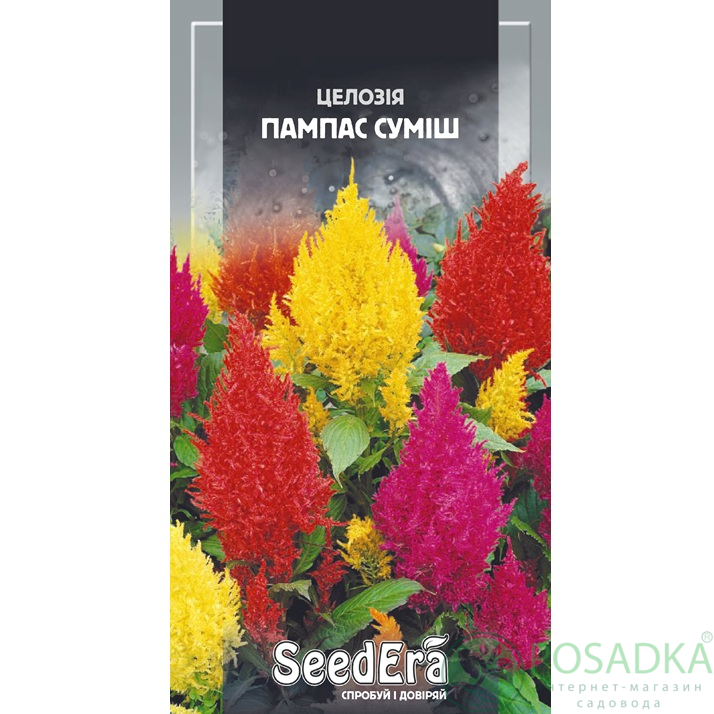 картинка Семена Целозия перистая Пампас смесь, 0,2 г, Seedera  картинка Семена Целозия перистая Пампас смесь, 0,2 г, Seedera