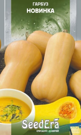 картинка Семена Тыква Новинка 3 г, Seedera 