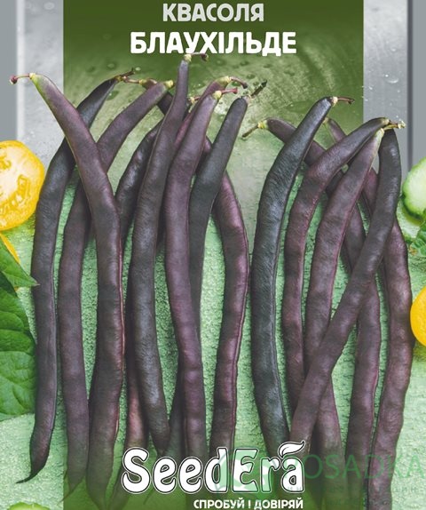 картинка Семена Фасоль Блаухильде, 10гр, SeedEra 