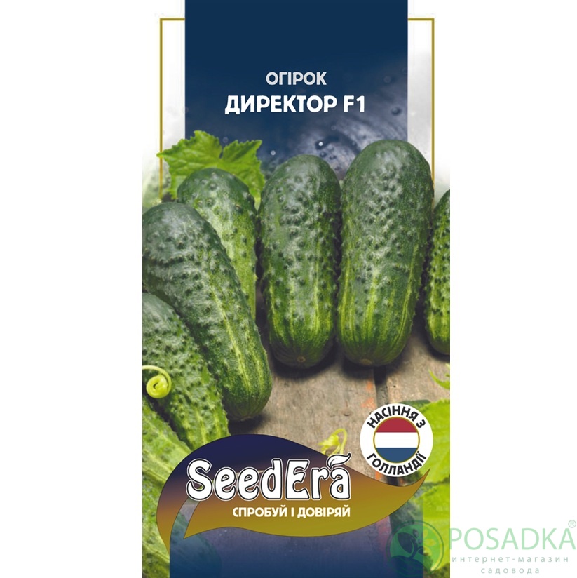 картинка Семена Огурец Директор F1, 10 шт Seedera Profi 