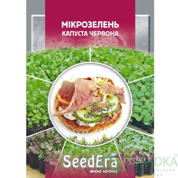 картинка Семена Микрозелень Капуста Красная 10 г, SeedEra 