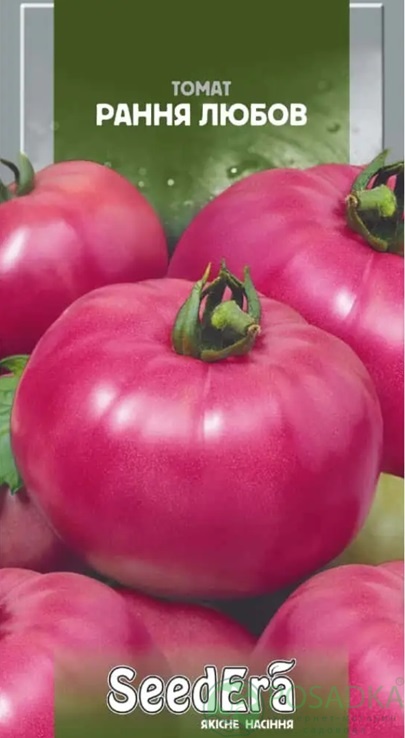 картинка Семена Томат Ранняя Любовь 0,1 г Seedera 