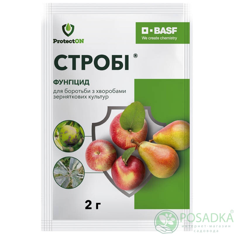 картинка Фунгицид Стробі, 2г Basf 