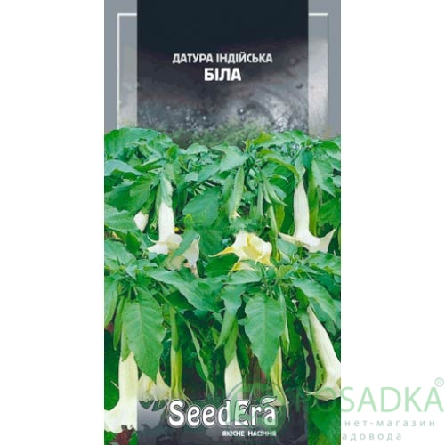 картинка Семена Датура индийская белая 0,5 г, Seedera картинка Семена Датура индийская белая 0,5 г, Seedera