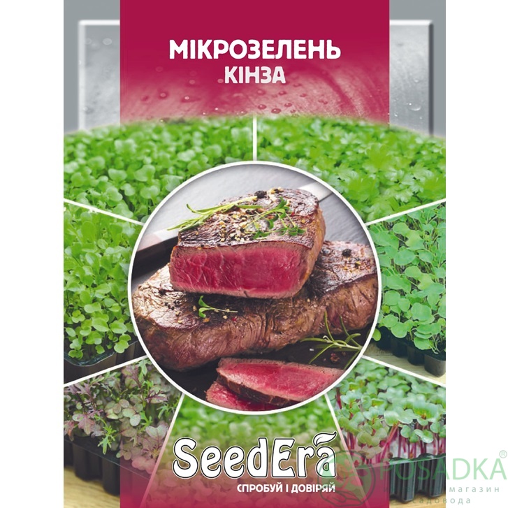 картинка Семена Микрозелень Кинза 10гр, SeedEra 