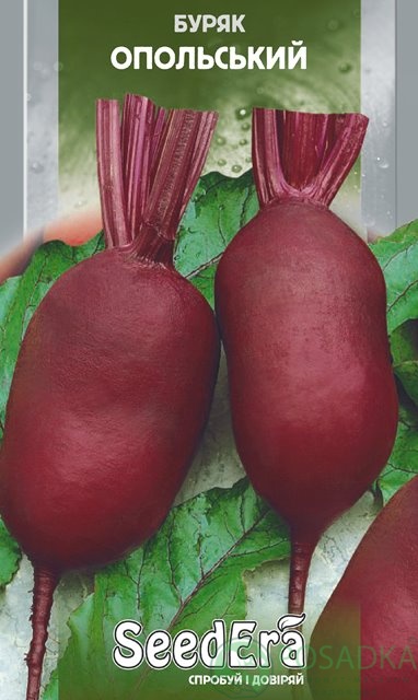 картинка Семена свекла Столовая Опольская 3 г, SeedEra 