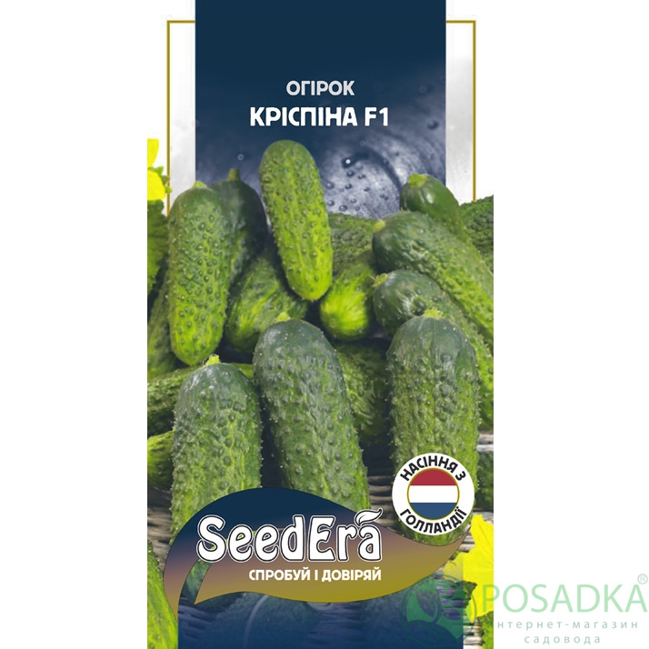 картинка Семена Огурец Криспина F1 10 шт, Seedera Profi 