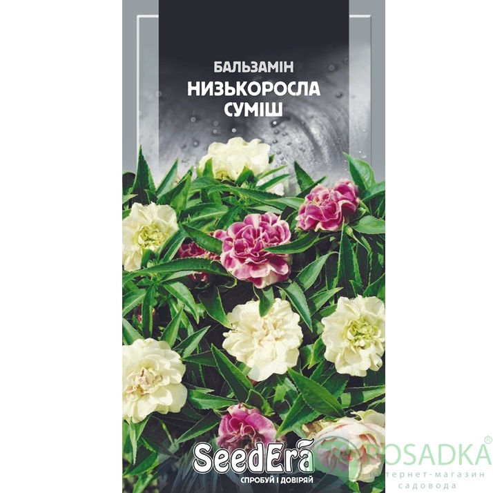 картинка Семена Бальзамин садовый Низкорослая смесь 0,5 г, Seedera 