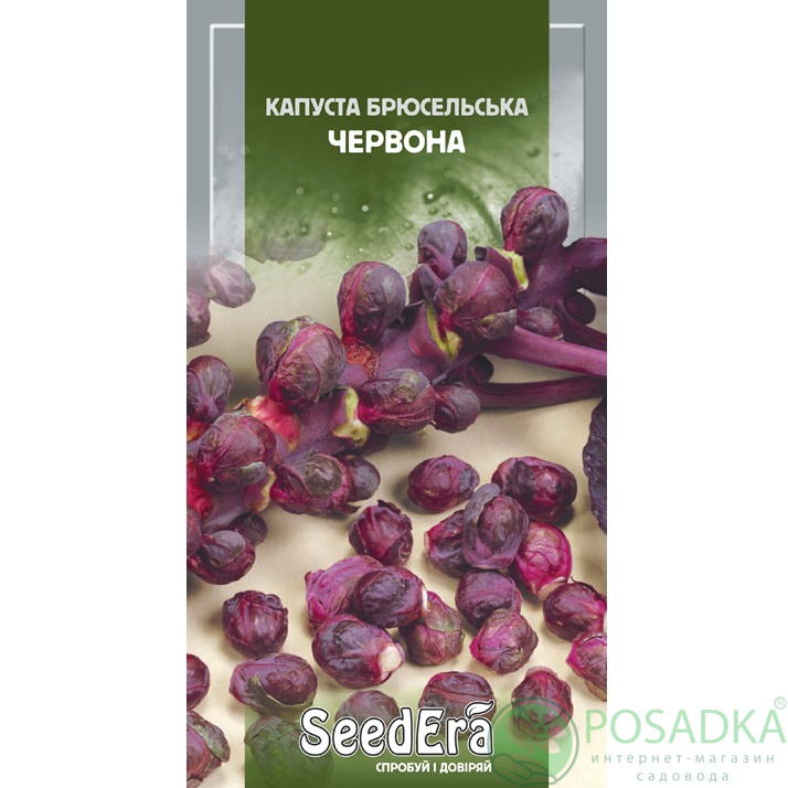 картинка Семена Капуста брюссельсая 0,1г, Seedera 