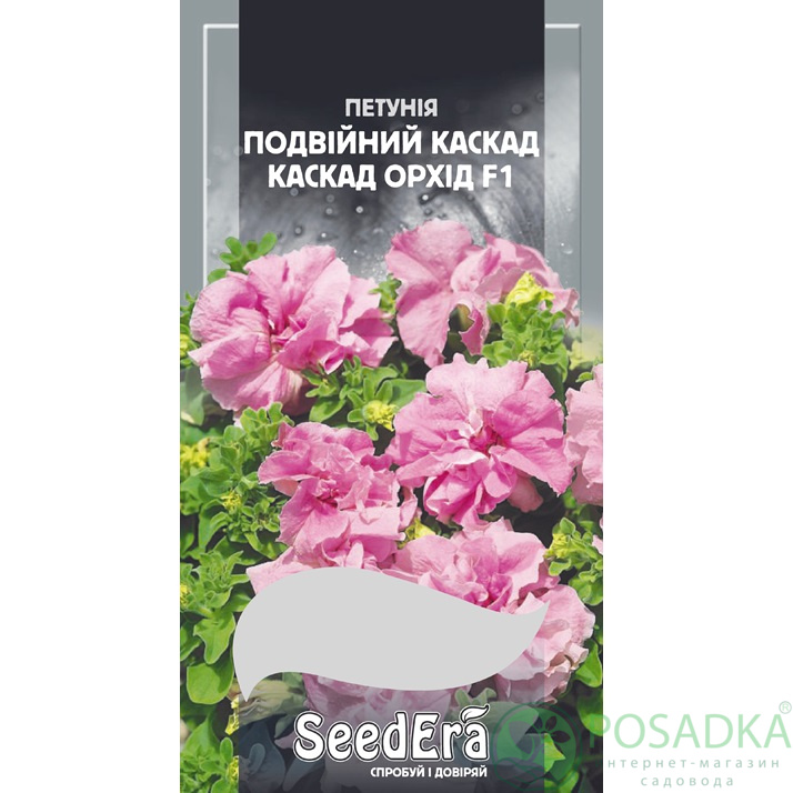 картинка Семена Петуния Бахромчатая Крупноцветковая Низкорослая Двойной Каскад Орхид F1, 10шт, Seedera картинка Семена Петуния Бахромчатая Крупноцветковая Низкорослая Двойной Каскад Орхид F1, 10шт, Seedera