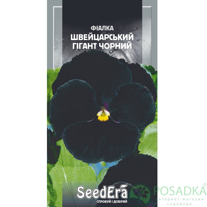 картинка Семена Фиалка Садовая Двулетняя Швейцарский Гигант Черный 0,1г, Seedera 