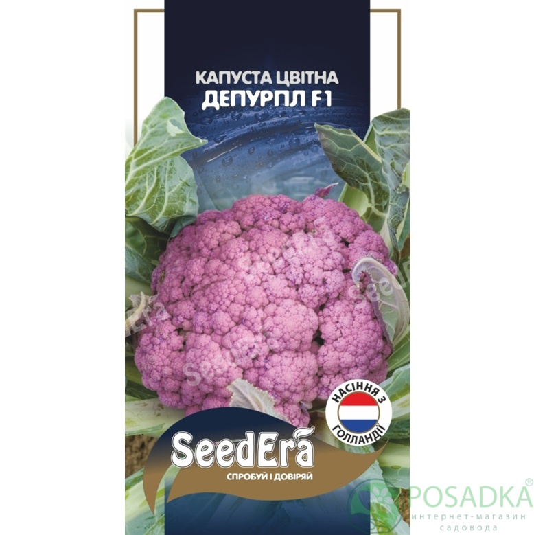 картинка Семена Капуста цветная Депурпл F1, 10 шт, Seedera Profi 