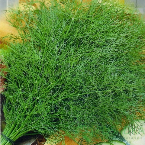 картинка Семена Укроп Лукуллус 3 г, Seedera 