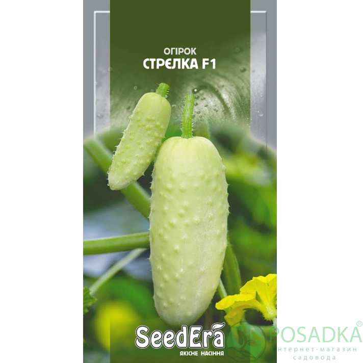картинка Семена Огурец Стрелка F1, 10шт, Seedera картинка Семена Огурец Стрелка F1, 10шт, Seedera