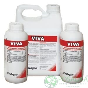 картинка Вива (Viva), 5 л 