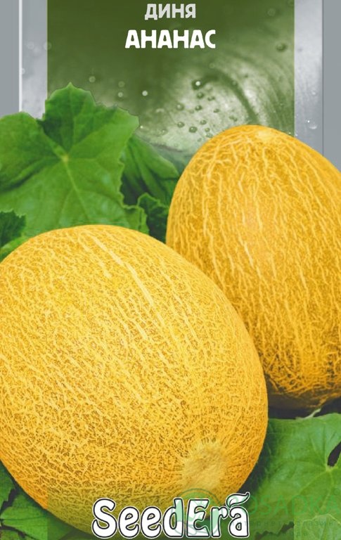 картинка Семена Дыня Ананас 1 г, Seedera 