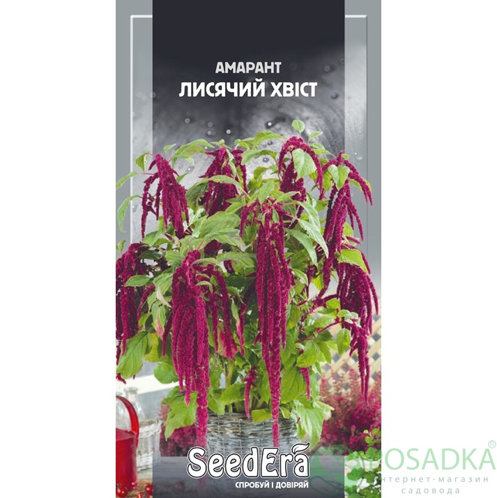 картинка Семена Амарант Лисий Хвост 0,3 г, Seedera 