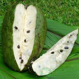 картинка Аннона (черимойя) 