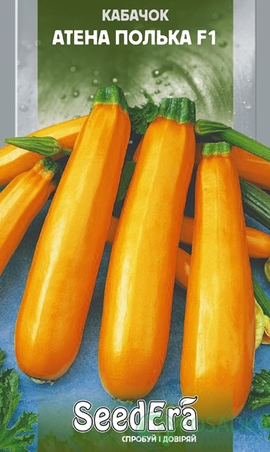 картинка Семена кабачок Атена Полька F1 10шт, SeedEra 