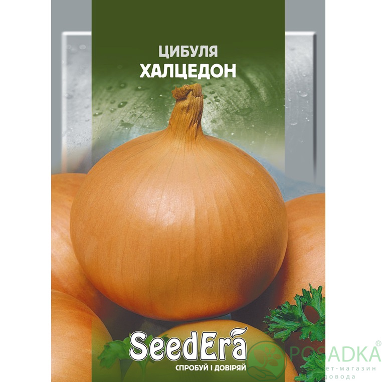 картинка Семена Лук Халцедон, 10 г, SeedEra 