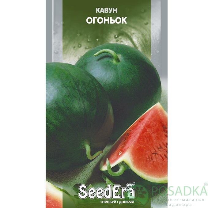 картинка Семена Арбуз Огонек 1 г, SeedEra 