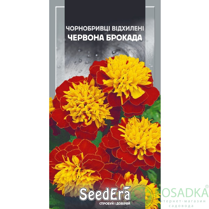 картинка Семена Бархатцы Низкорослые Отклоненные Красная Брокада 0,5г, Seedera картинка Семена Бархатцы Низкорослые Отклоненные Красная Брокада 0,5г, Seedera