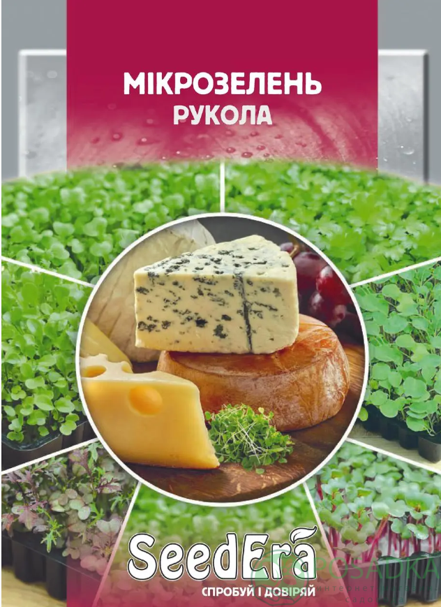 картинка Семена Микрозелень Руккола 10гр, SeedEra 