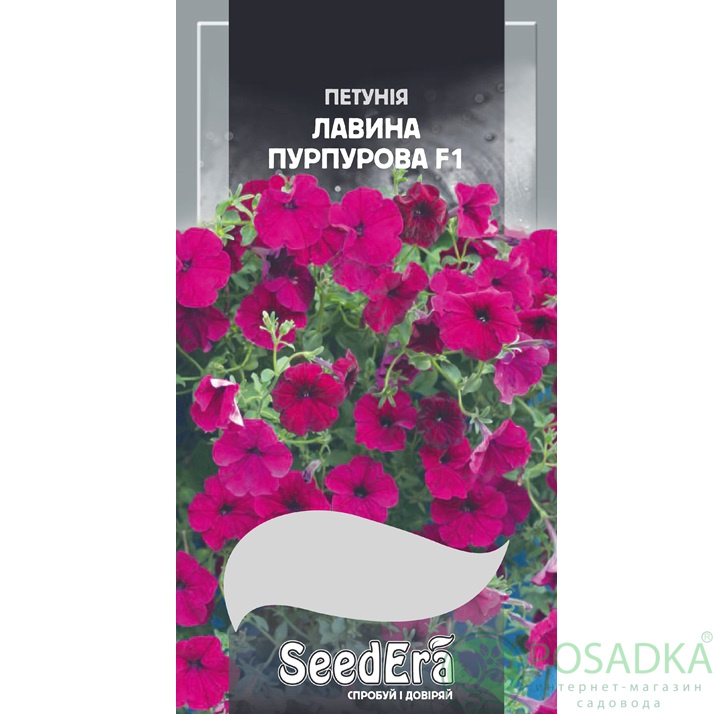 картинка Семена петуния Ампельная Лавина Пурпурная F1, 10шт, Seedera картинка Семена петуния Ампельная Лавина Пурпурная F1, 10шт, Seedera