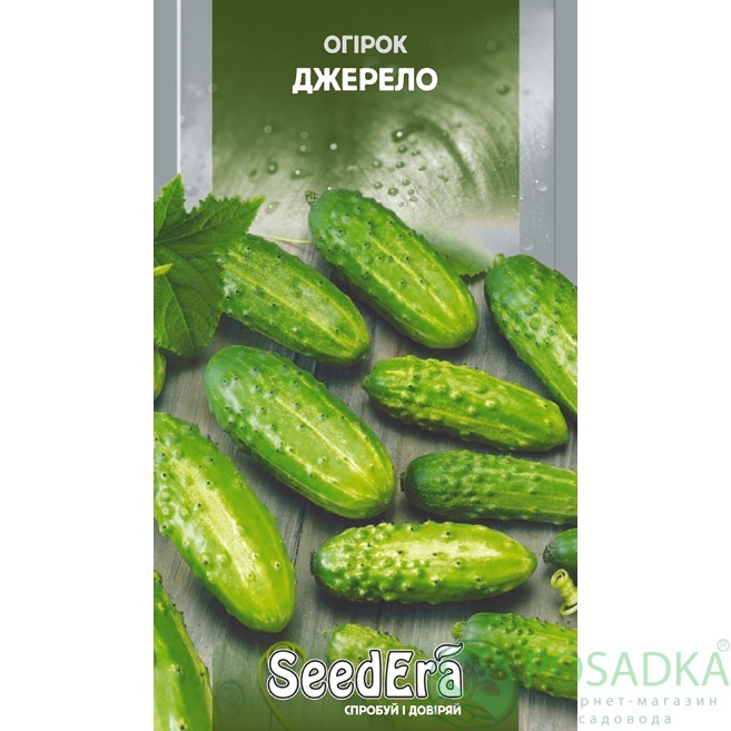 картинка Семена Огурец Джерело, 1 г, SeedEra 