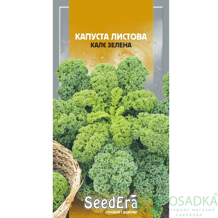 картинка Семена Капуста Листовая Кале Зеленая 0,5г, Seedera 