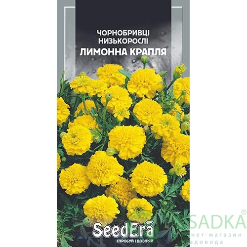 картинка Семена Бархатцы лимонная капля 0,5 г 