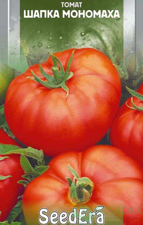 картинка Семена Томат Шапка Мономаха 0.1гр, SeedEra 