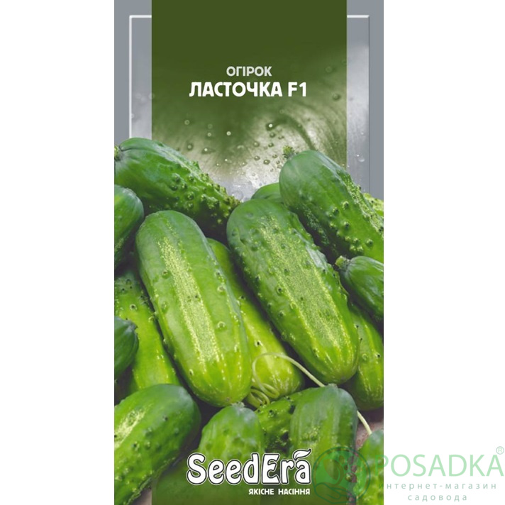 картинка Семена Огурец Ласточка F1 0,5г, Seedera картинка Семена Огурец Ласточка F1 0,5г, Seedera