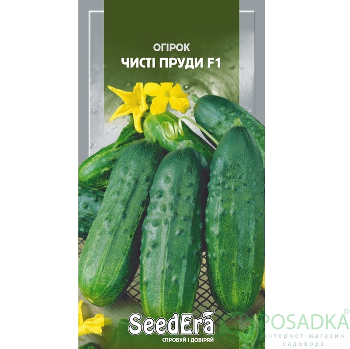 картинка Семена Огурец Чистые Пруды F1, 10шт, Seedera 