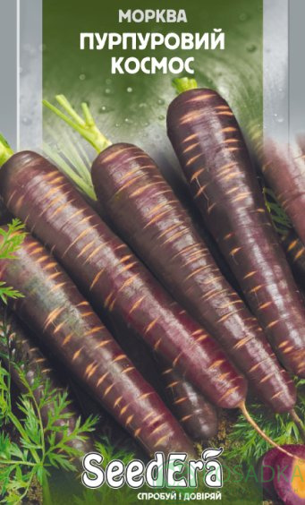 картинка Семена Морковь Пурпурный космос 100шт, SeedEra 