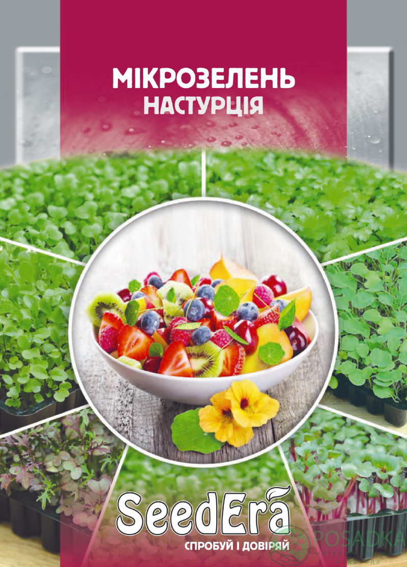 картинка Семена Микрозелень Редис Санго 10гр, SeedEra 